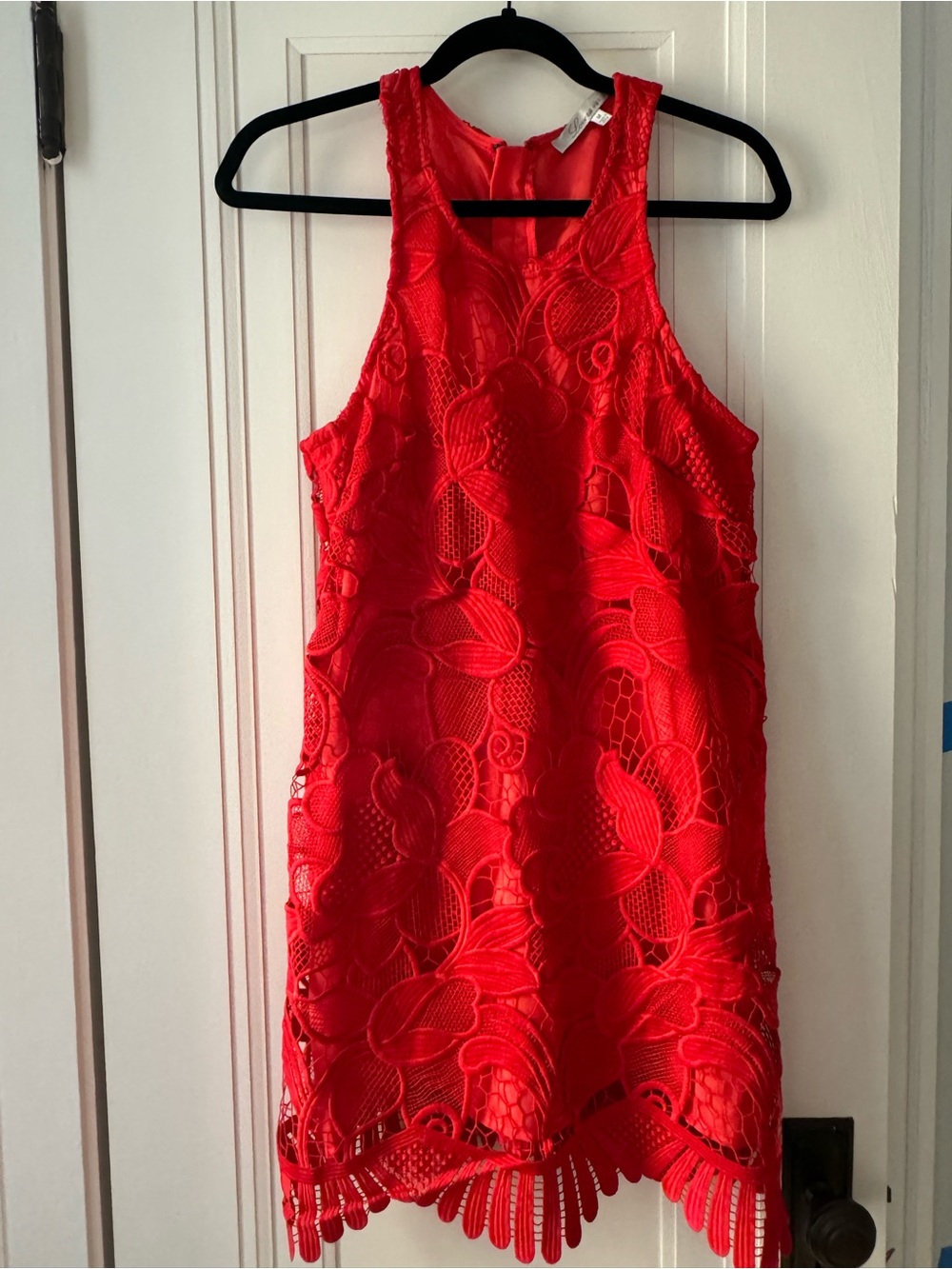 Red Lace Sleeveless Shift Dress with Scallop Trim